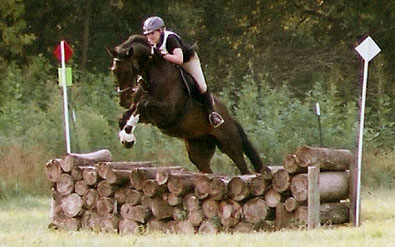 Joe Bear's debut into “full scale” 3-phase eventing was on August 18th 2007.