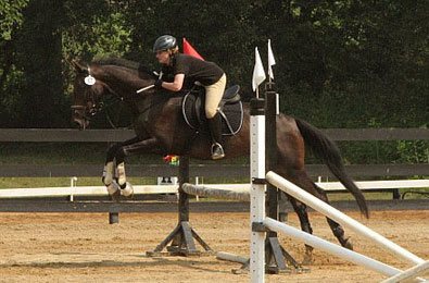 OTTB - Joe Bear does stadium jumping at his first combined training event.