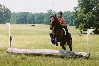 Knight Villain and Tammy Gullet schooling cross country fences at Big Bear in Pine Mountain, GA.