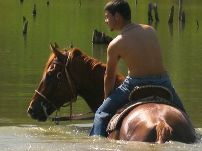 Good friend Cody swims off-the-track Thoroughbred Light Artillery!