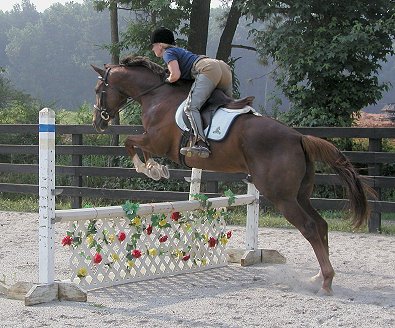 Lylle learning to jump. June 2003