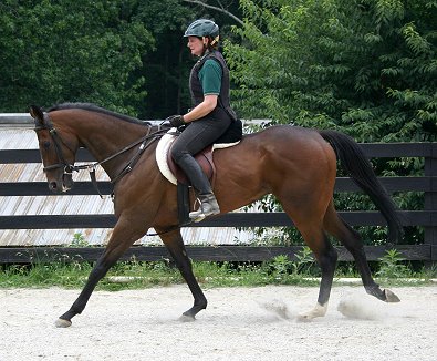 You may feel safe enough to canter on your first ride.