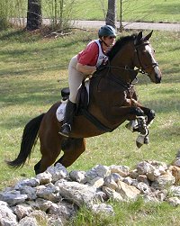 Political Pull jumps his first stone wall at the Shamrock Hounds Pony Club Hunter Pace. March 24, 2007 
