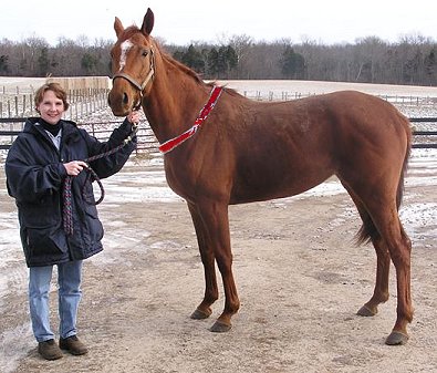 Another Prospect Horse finds a home! - January 24, 2005