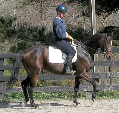 RU Ready to Rumble at Bits & Bytes Farm