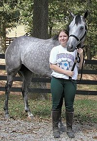 Smokey is one of the horses for sale at Bits & Bytes Farm