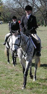 Smokey, an off-the-track Thoroughbred at his first fox hunt.