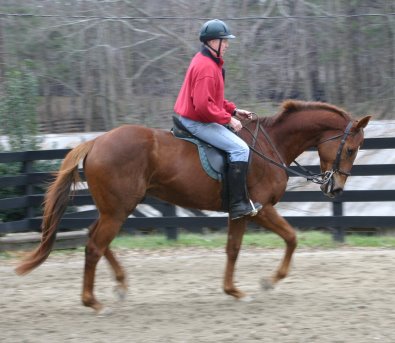 Straw Boy - December 22, 2004