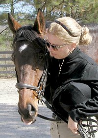 Horses for Sale at Bits & Bytes Farm