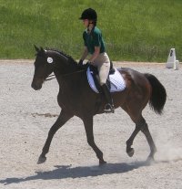 Marie and Two Thumbs Up in their first combined training competition.