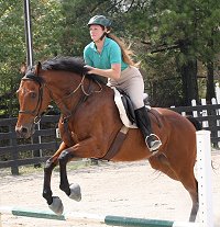 Touchthesun is learning to jump!