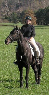 Bits & Bytes Farm Thoroughbred horse for sale -Wiseguy's Out and Elizabeth