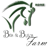 Thoroughbred horses for sale from Bits & Bytes Farm