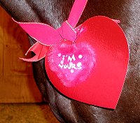 Horse valentines - I'm Yours.