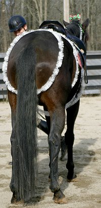 Thoroughbreds birthday party - January 1, 2005