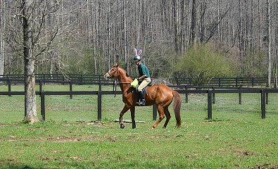 Barry, Sally and Elizabeth