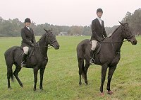Off-the-track Thoroughbreds at the fox hunt