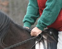 Bridging your hands can help your balance and keep you from pulling on the horse's mouth.