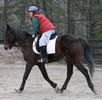 A horse with a relaxed back is balanced and can step under with a bigger and more comfortable stride.