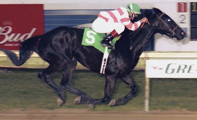 "Coin" winning in May 2004.