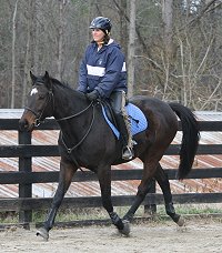 If you relax, your horse will relax.