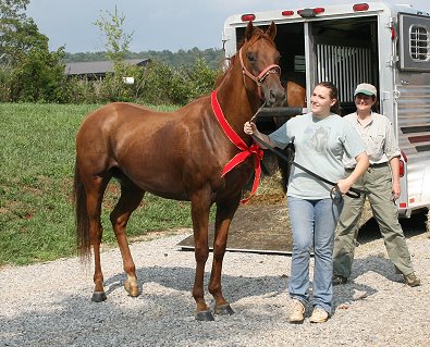Title Search with Elizabeth and his new mom Mary Jennifer Dunlap of Tennessee. July 28, 2007