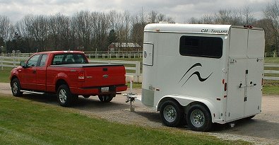 Boston gets a birthday trailer - CM horse trailer.