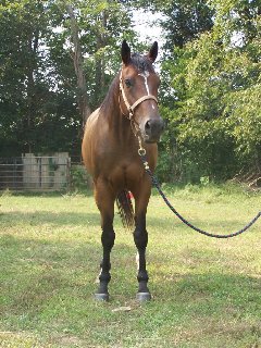 Call for more information.