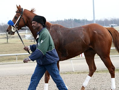 "Moe" returns from his last race. 