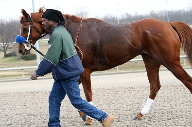 "Moe" returns from his last race. 