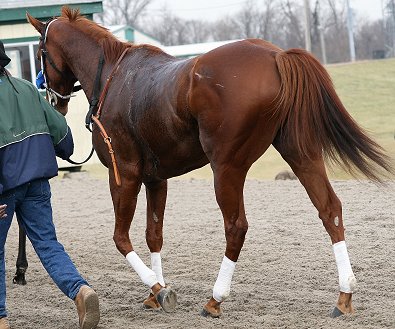 Moe is priced to sell this week.