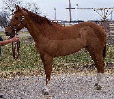 Call for more information.