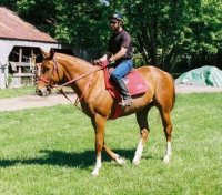 Project One has been ridden on the farm and on trails.