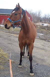 Call for more information.