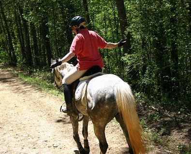 Off-the-track Thoroughbreds can be quiet calm on trial rides.
