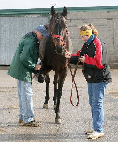 Be sure to vet check the horse at the track.