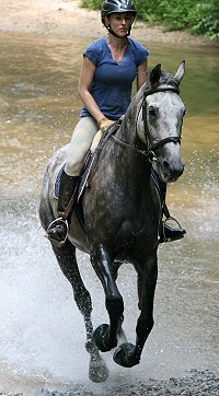 Allison and Barbo were soon cantering through the water.