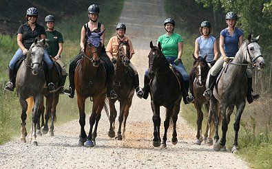 Seven OTTBs from Bits & Bytes Farm went on a trail ride last Sunday. August 19, 2007 