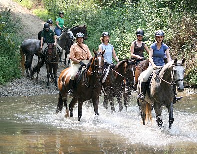 Barbo, with Allison Moul, walked with confidence into the creek and the other horses followed. 