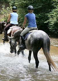 It helps to have a quiet confident horse lead a more timid horse/rider through the water.