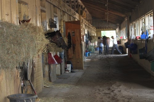 Belmont Park stables