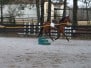 Reign Day - February 10 Lunging