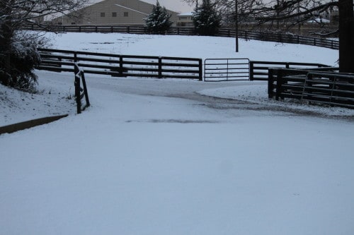 Bits & Bytes Farm in the snow