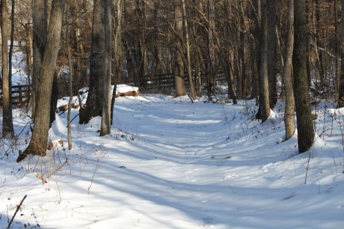 Our trails through the woods covered in snow