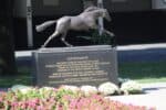 belmont park 20100917 012