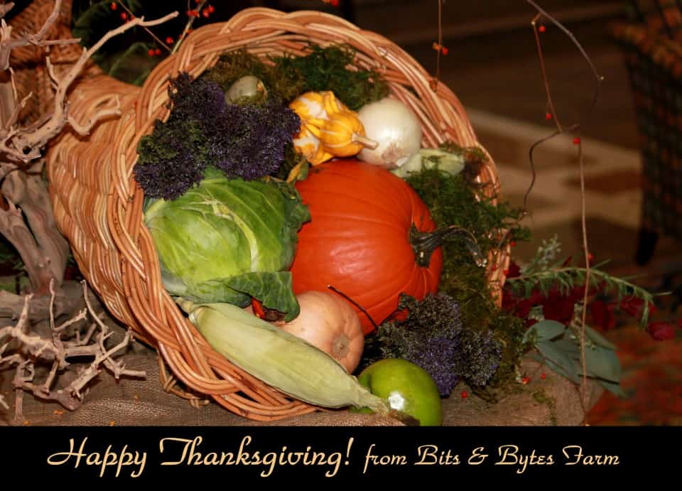 Happy Thanksgiving from Bits & Bytes Farm
