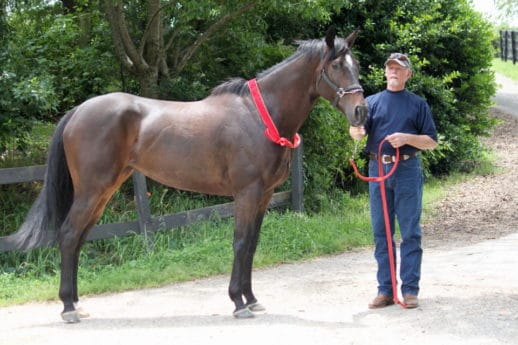 mimis-ava-arrives_20120522_034b