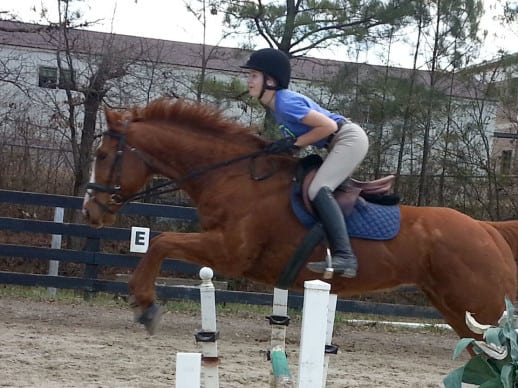 Kokopelli - Thoroughbred horse for sale