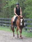 Kokopelli - Thoroughbred horse for sale