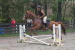 Kokopelli - Thoroughbred horse for sale